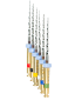 endodontics